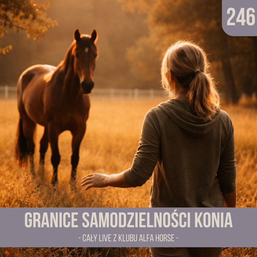 granice_samodzielnosci_konia