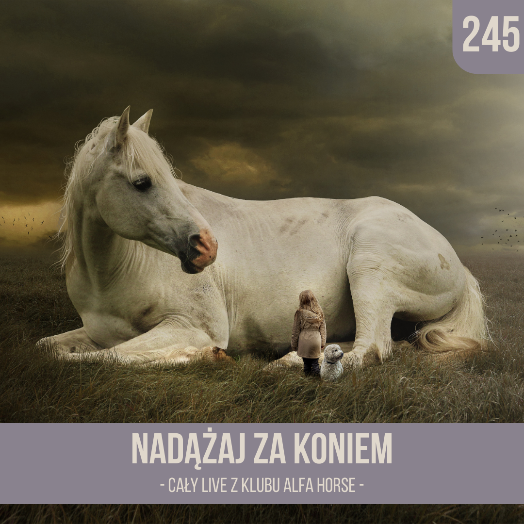 nadazaj_za_koniem