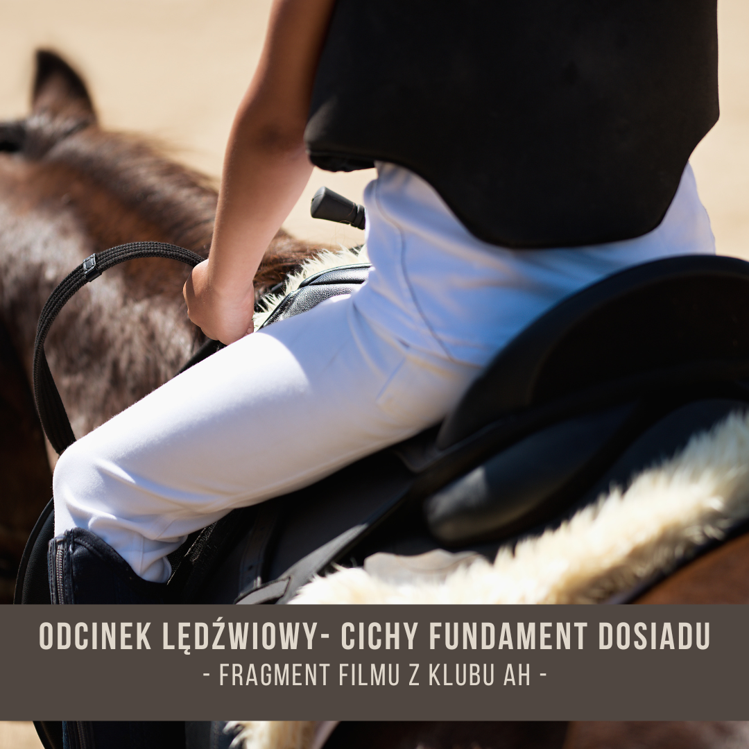 odcinek_ledzwiowy_cichy_fundament_dosiadu