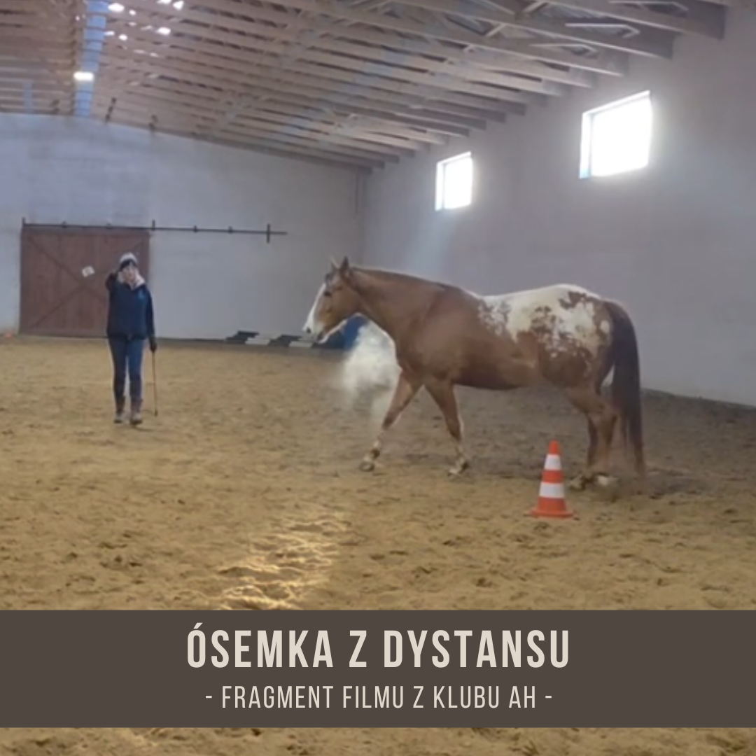 osemka_z_dystansu