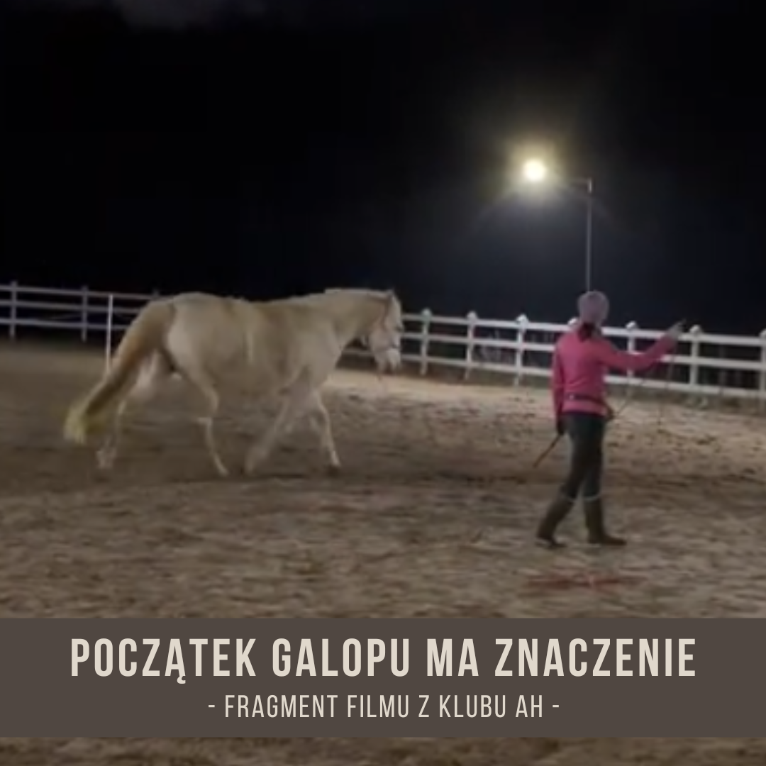 poczatek_galopu_ma_znaczenie