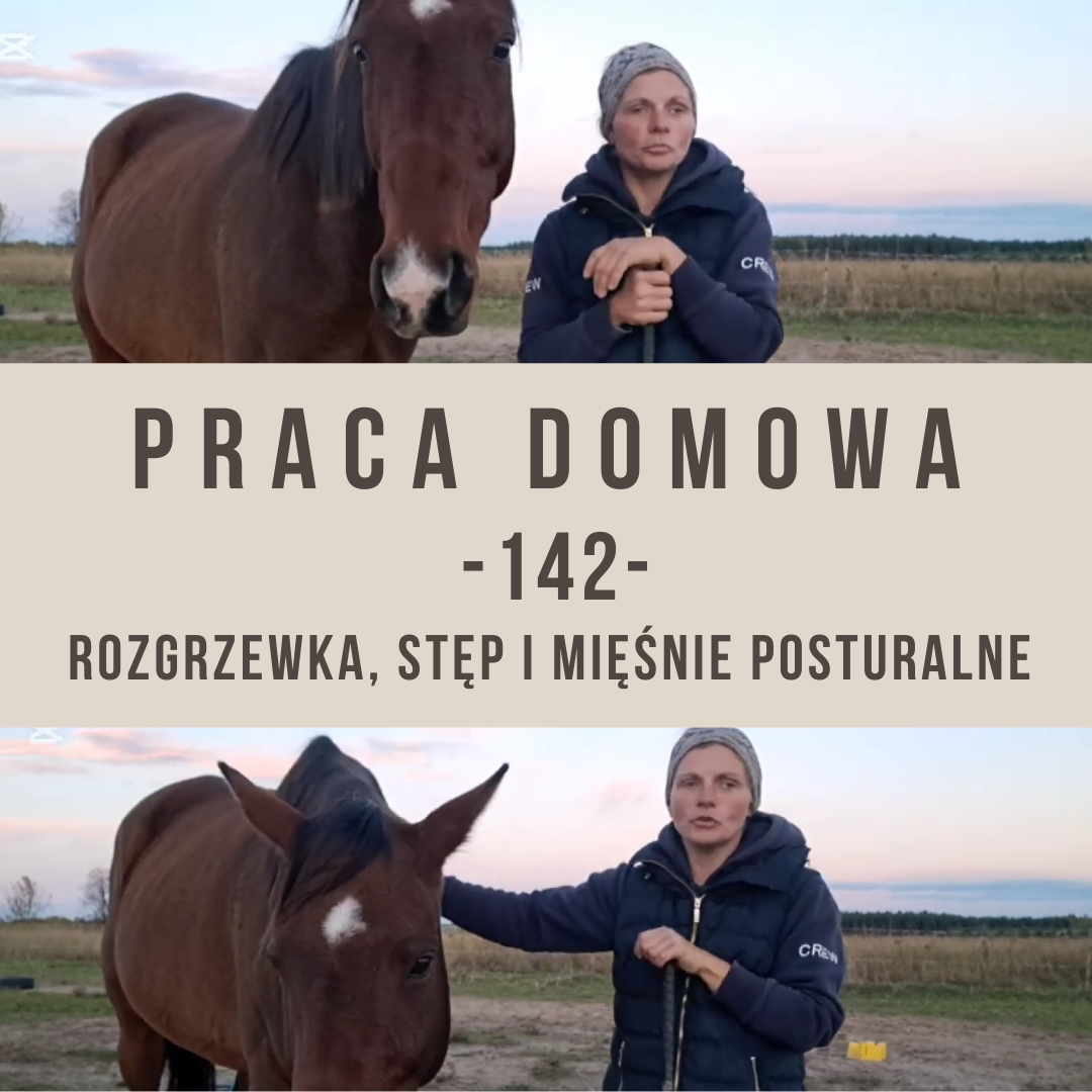 praca_domowa_142_rozgrzewka_ste_miesnie_posturalne_alfa_horse