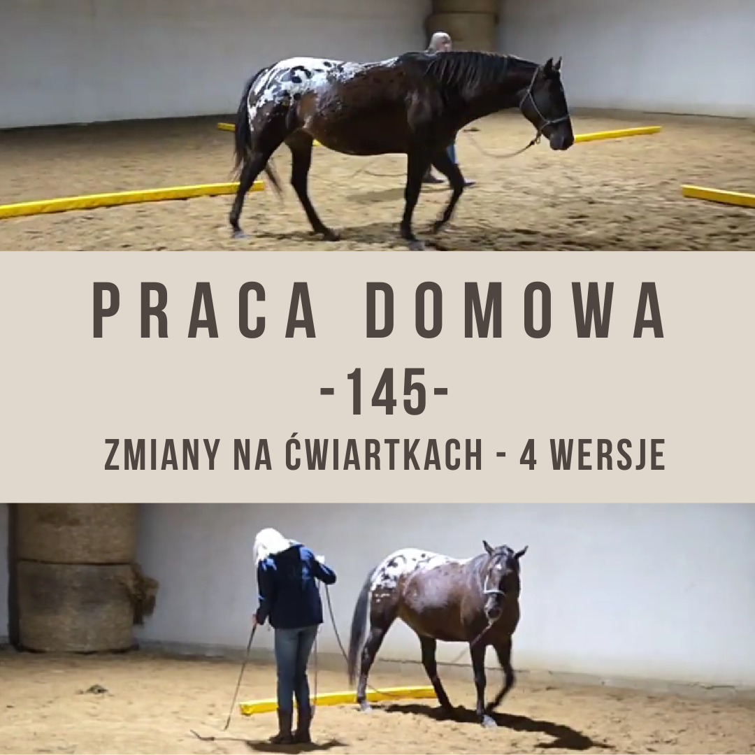 praca_domowa_145_zmiany_na_cwiartkach_4_wersje_alfahorse