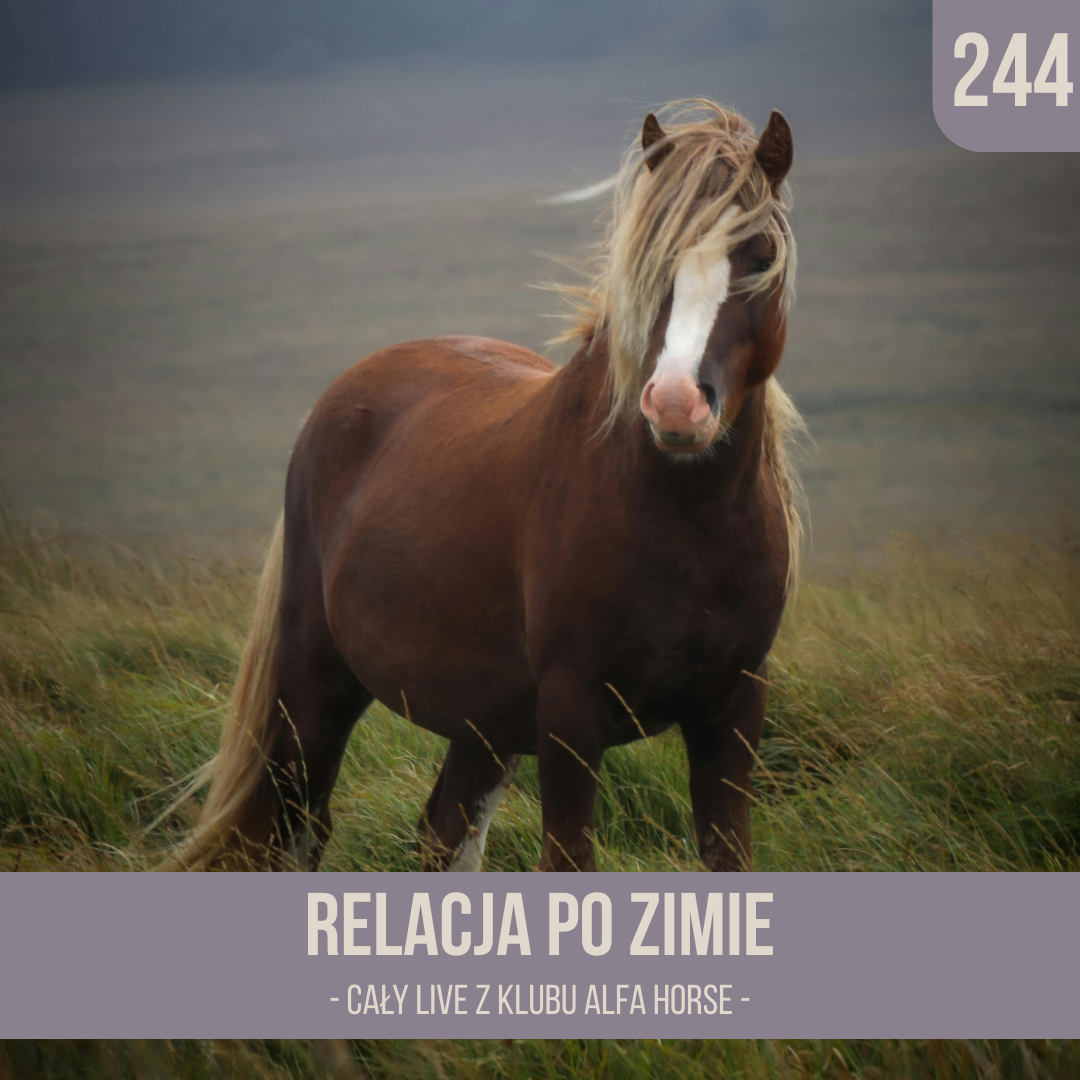 relacja_po_zimie