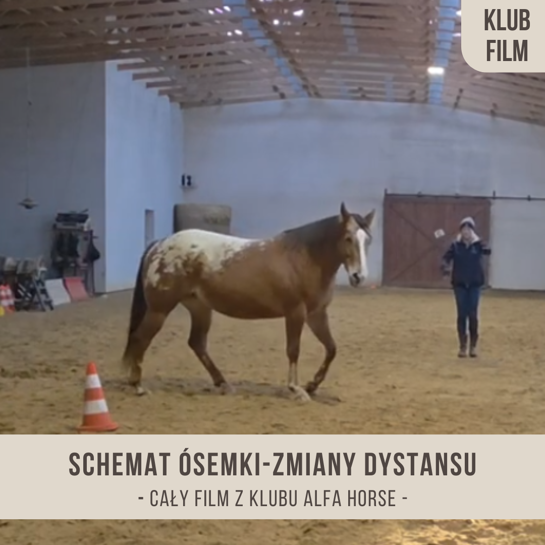 schemat_osemki_zmiany_dystansu