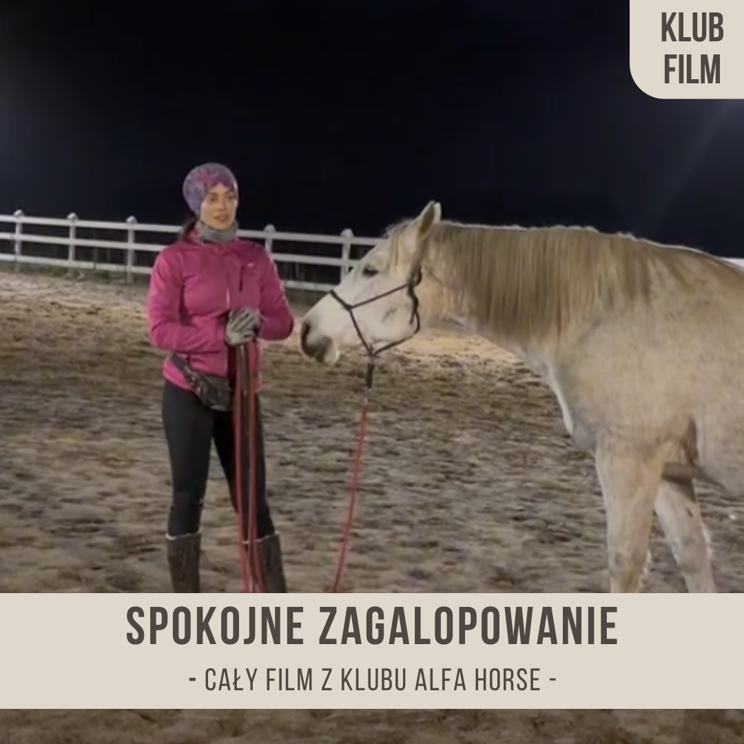 spokojne_zagalopowanie