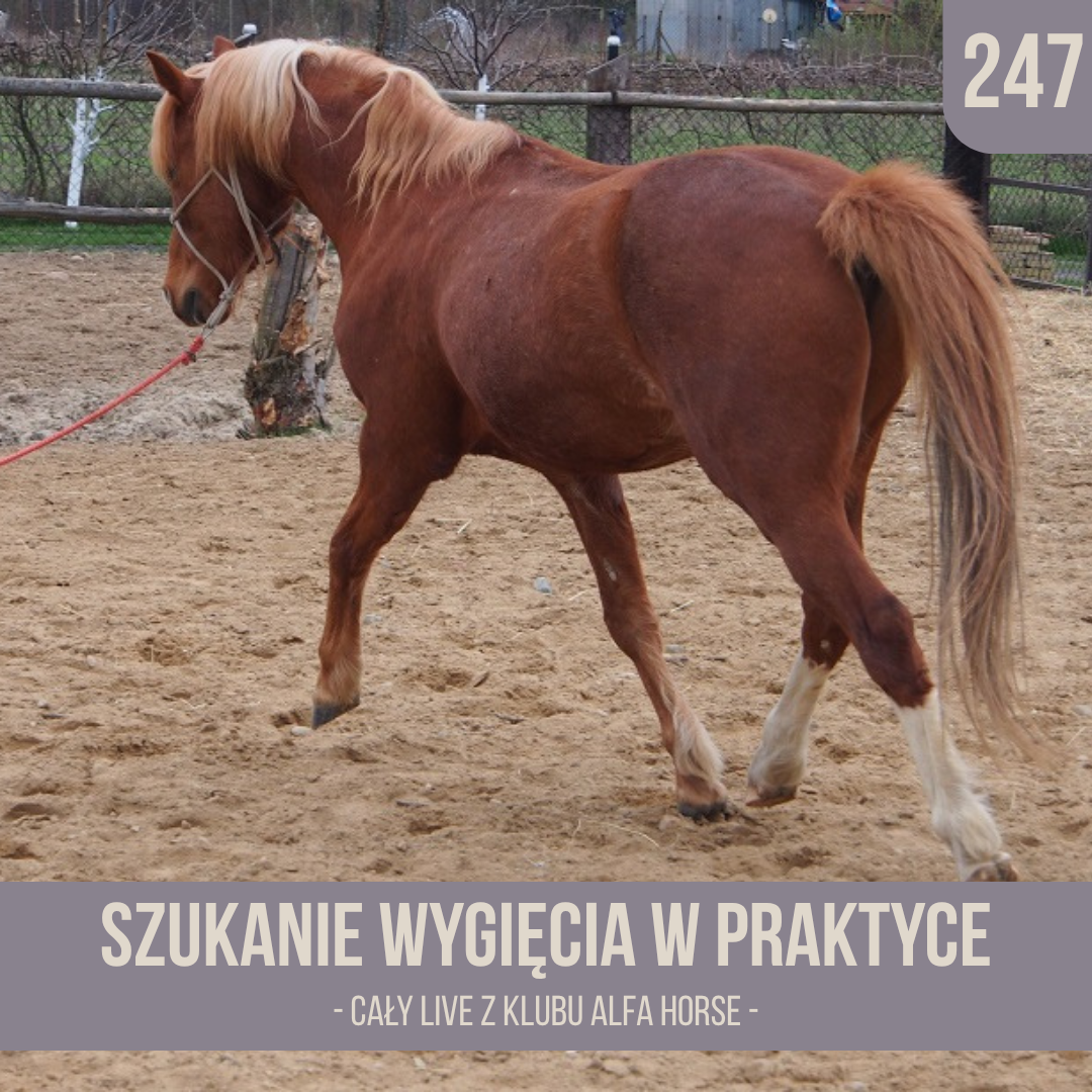 szukanie_wygiecia_w_praktyce