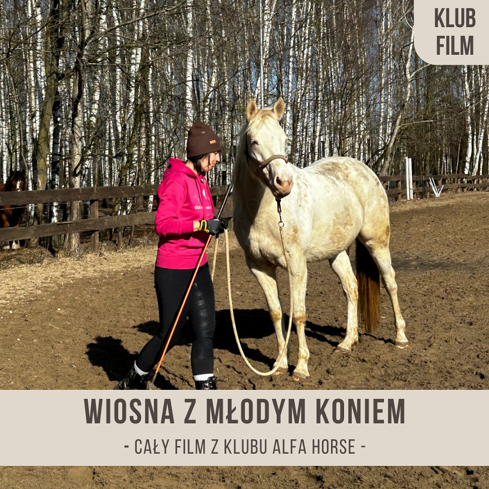 wiosna_z_mlodym_koniem