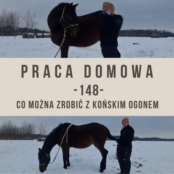 co_mozna_zrobic_z_konskim_ogonem_alfahorse