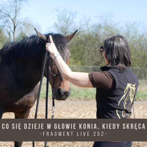 co_sie_dzieje_w_glowie_konia_kiedy_skreca