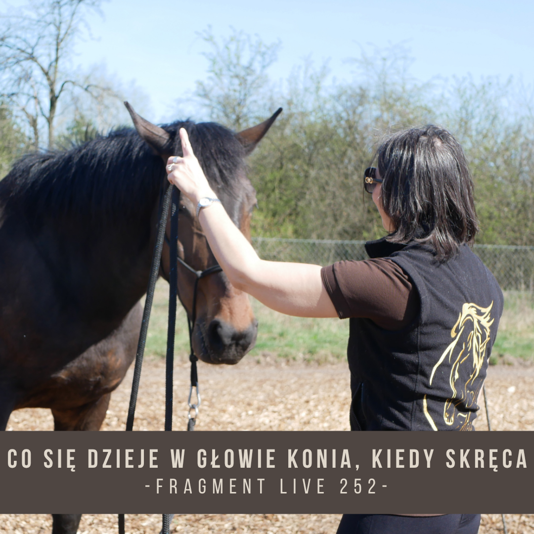 co_sie_dzieje_w_glowie_konia_kiedy_skreca