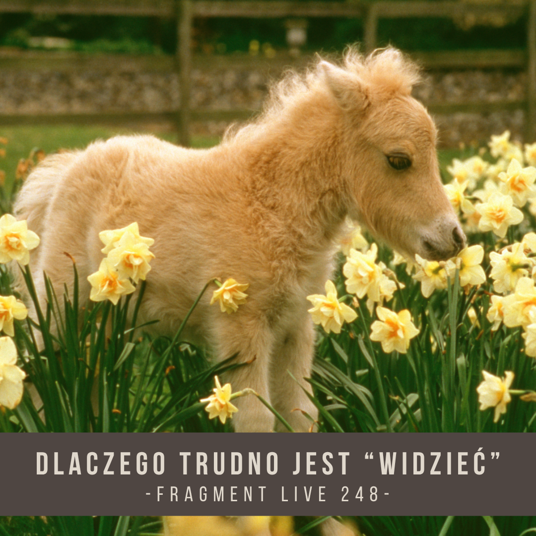 dlaczego_trudno_jest_widziec