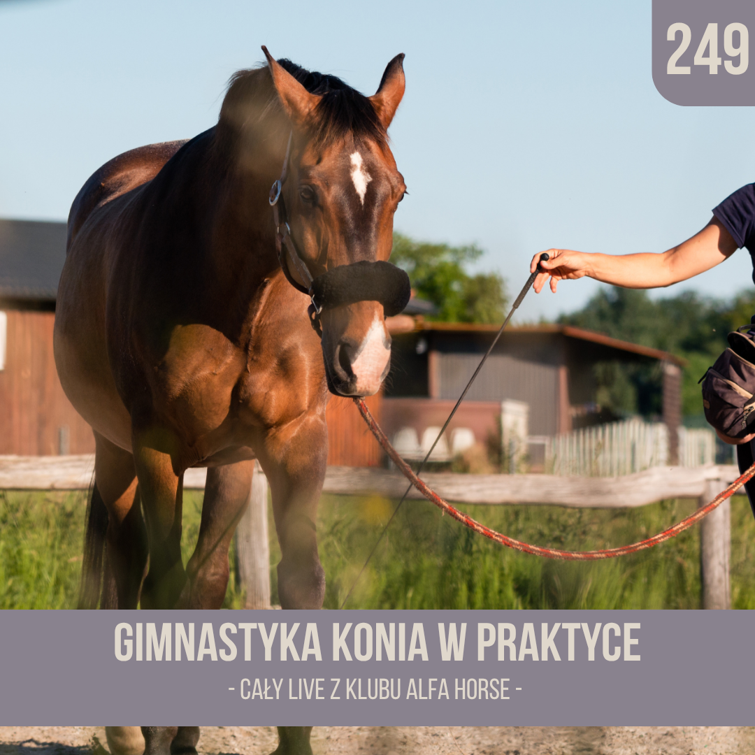 gimnastyka_konia_w_praktyce