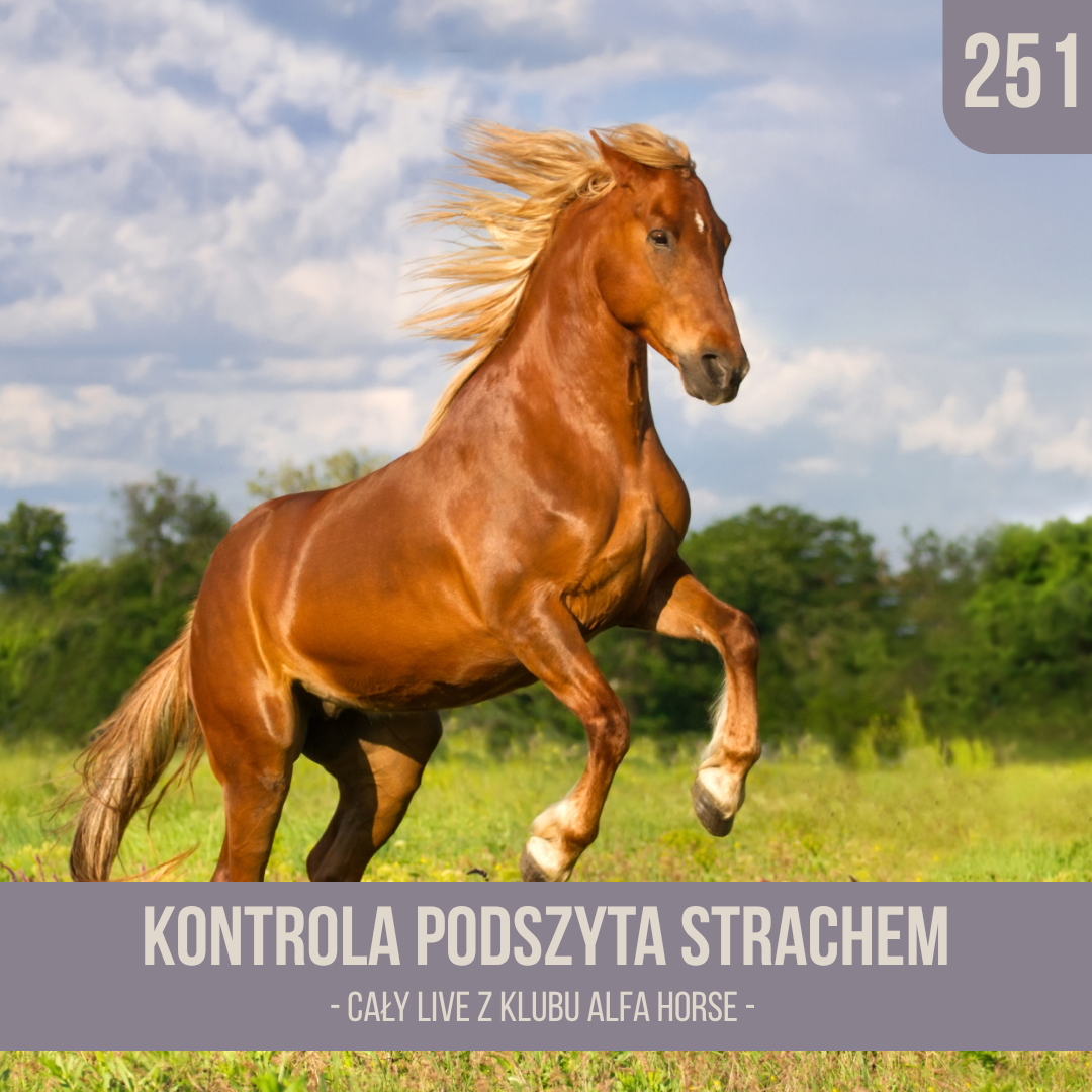 kontrola_podszyta_strachem