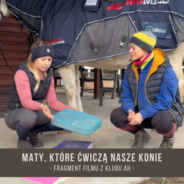 maty_ktore_cwicza_nasze_konie