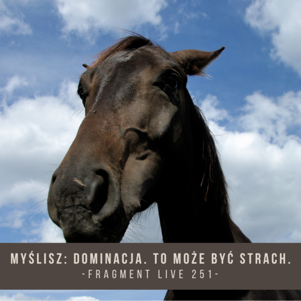 myslisz_dominacja_to_moze_byc_strach