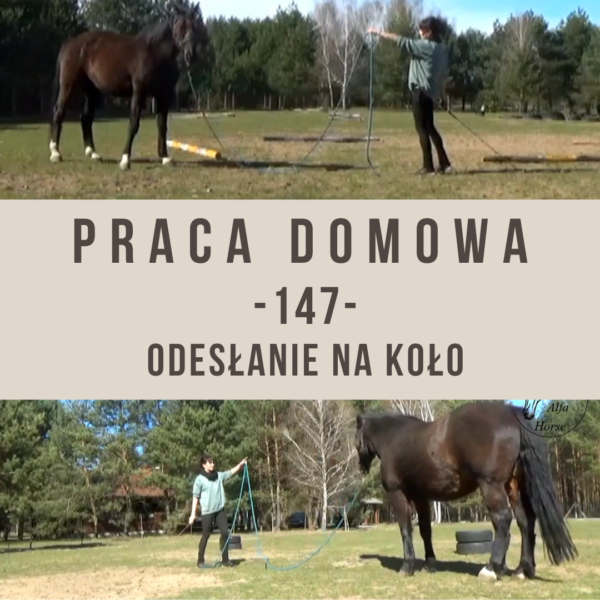 praca_domowa_147_odeslanie_na_kolo_alfahorse