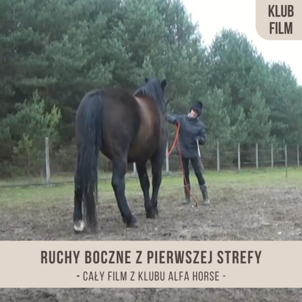 ruchy_boczne_z_pierwszej_strefy