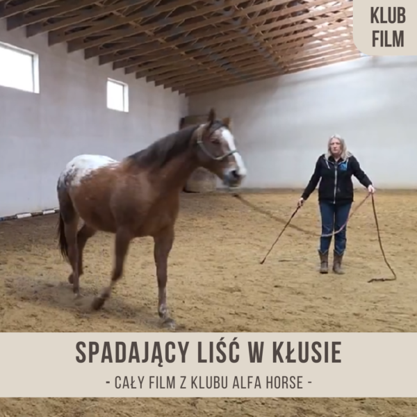 spadajacy_lisc_w_klusie