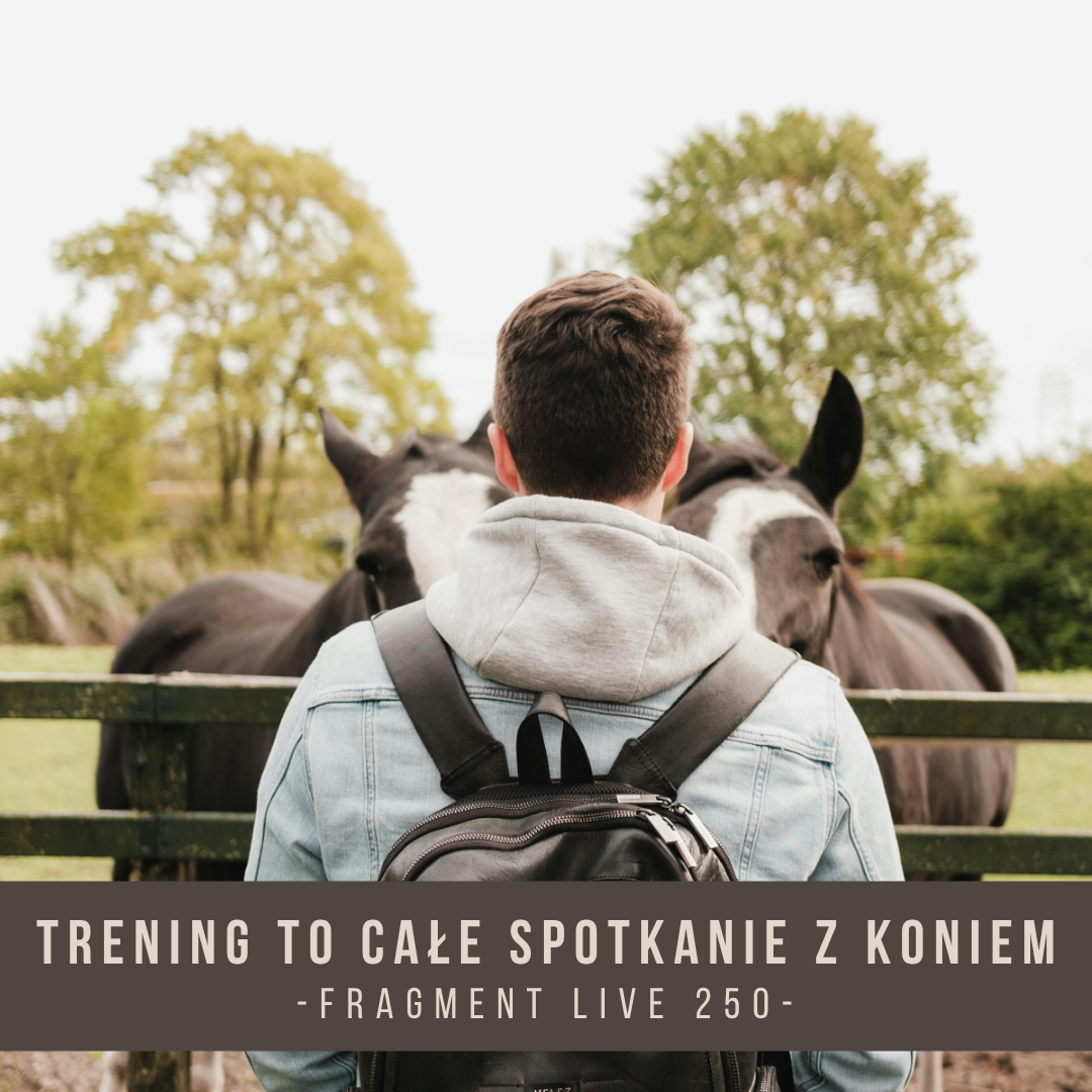 trening_to_cale_spotkanie_z_koniem