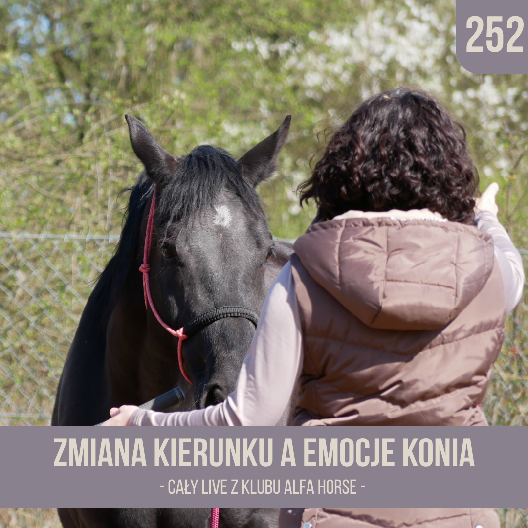 zmiana_kierunku_a_emocje_konia