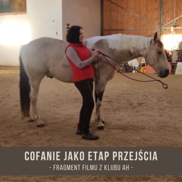 cofanie_jako_etap_przejścia
