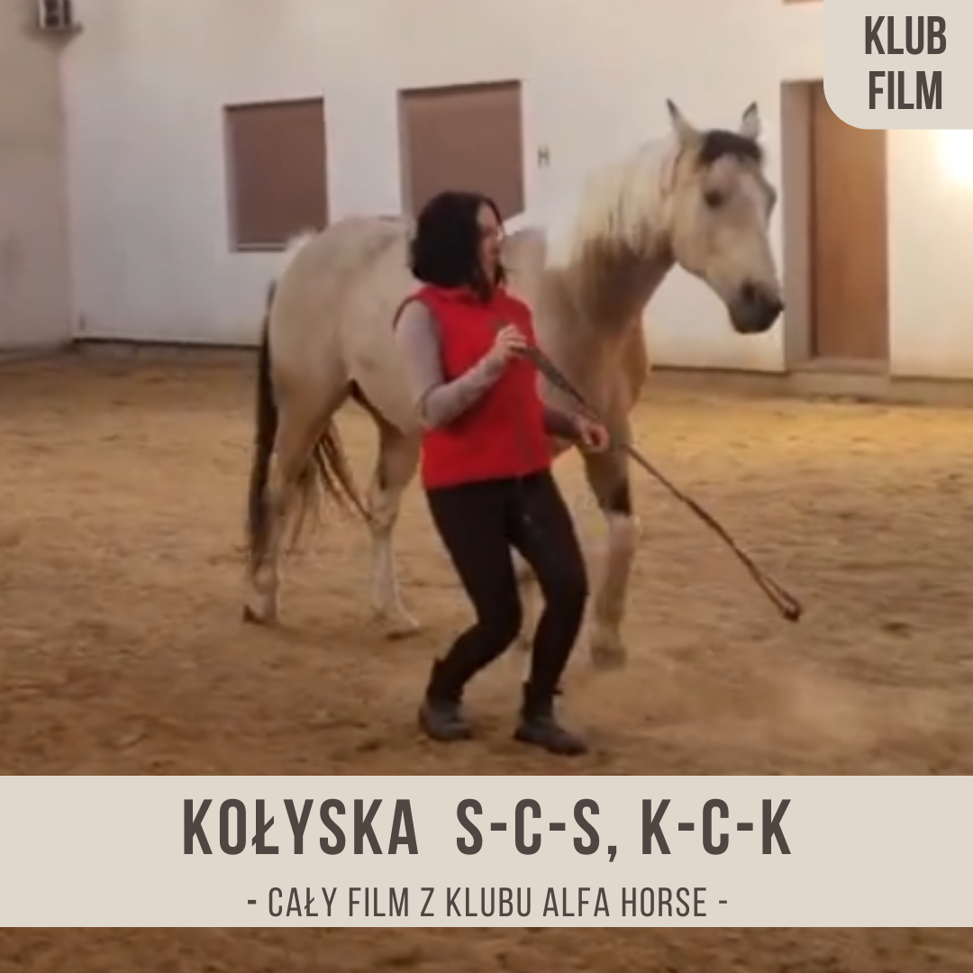 kołyska_scs_kck