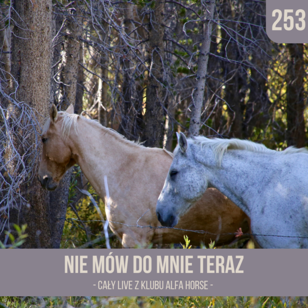nie_mow_do_mnie_teraz