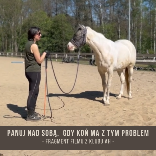 panuj_nad_soba_gdy_kon_ma_z_tym_problem