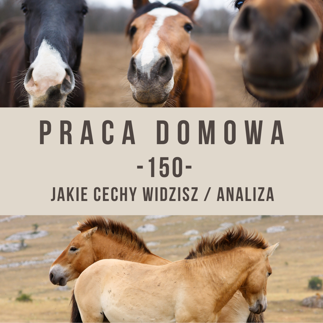 praca_domowa_150_jakie_cechy_wodzosz_alfahorse