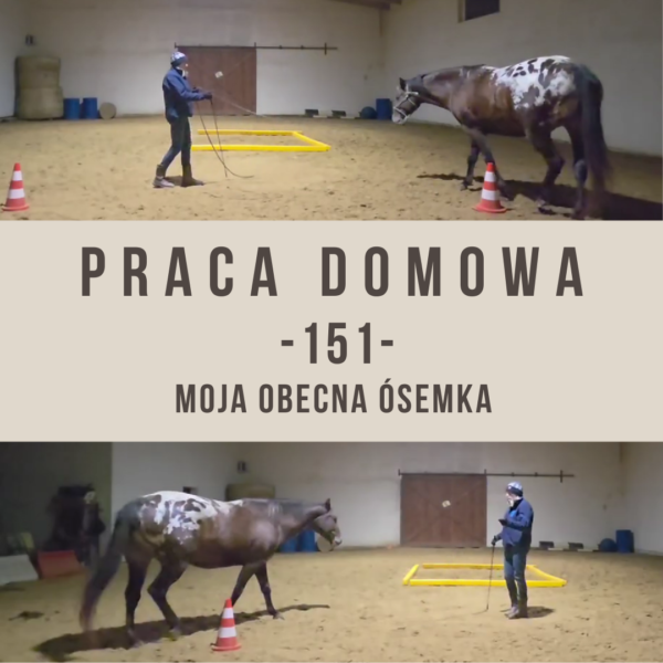 praca_domowa_151_moja_obecna_osemka
