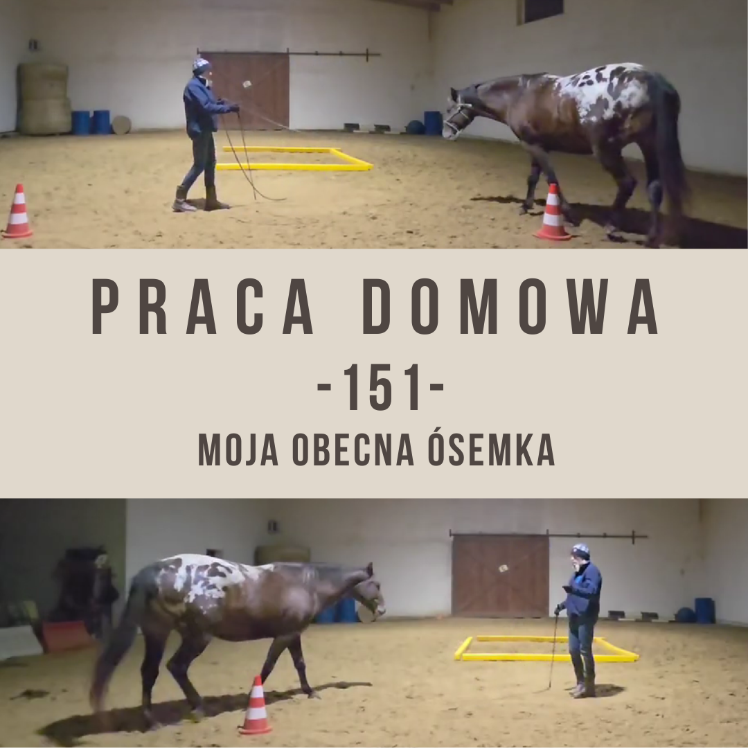 praca_domowa_151_moja_obecna_osemka