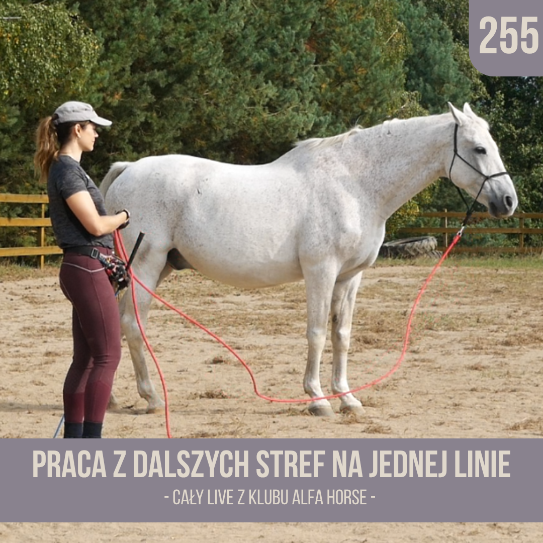 praca_z_dalszych_stref_na_jednej_linie