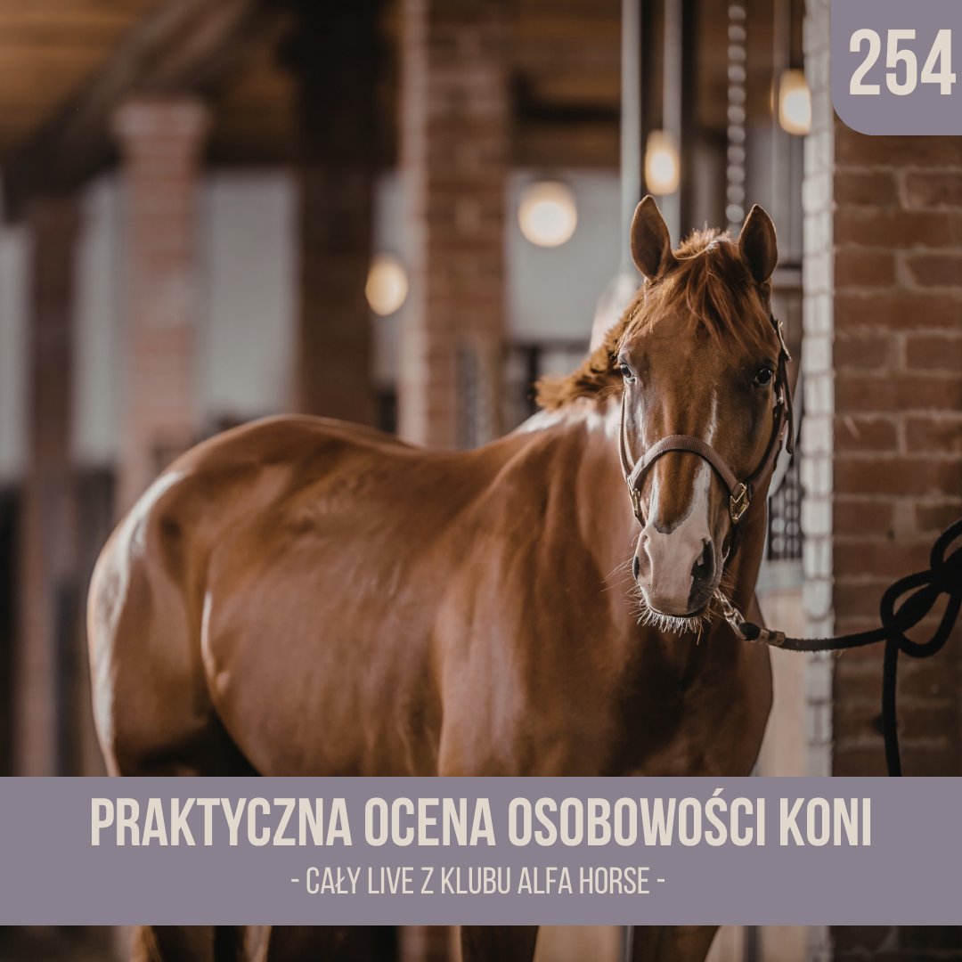 praktyczna_ocena_osobowosci_koni