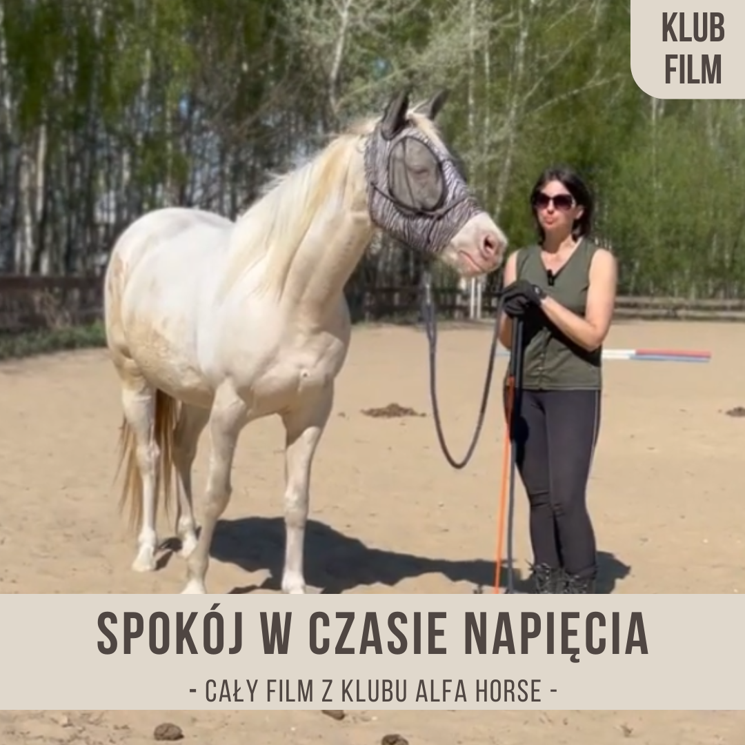 spokoj_w_czasie_napiecia