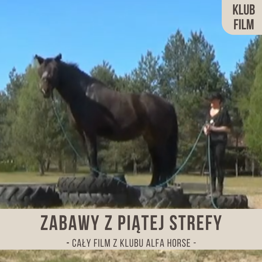 zabawy_z_piatej_strefy