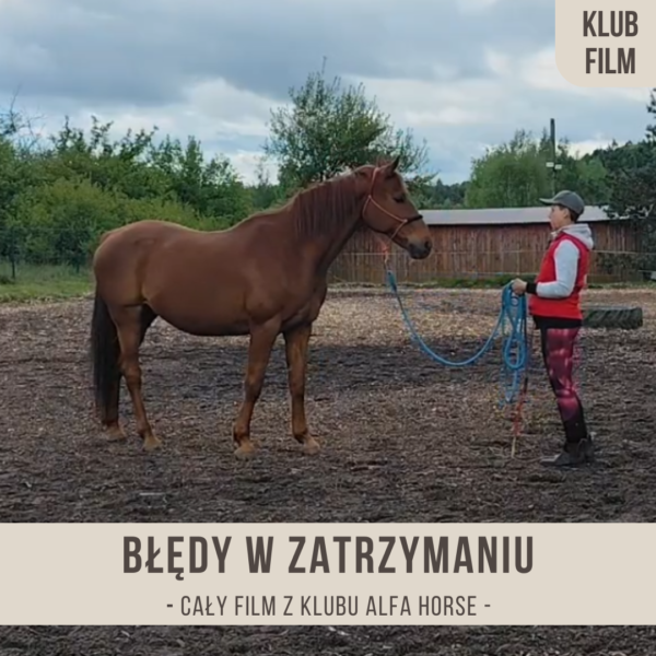 bledy_w_zatrzymaniu