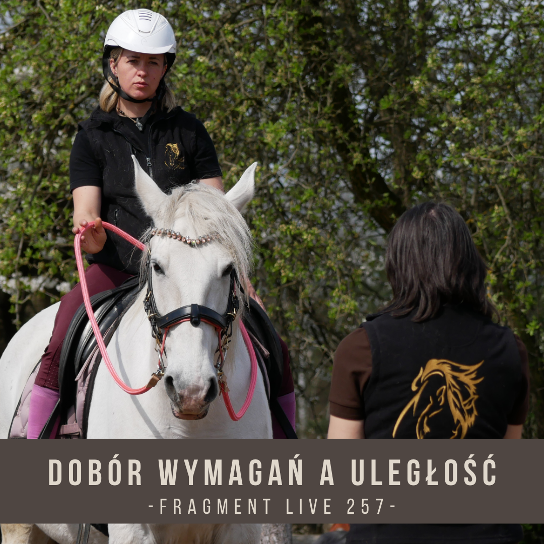 dobor_wymagan_a_uleglosc