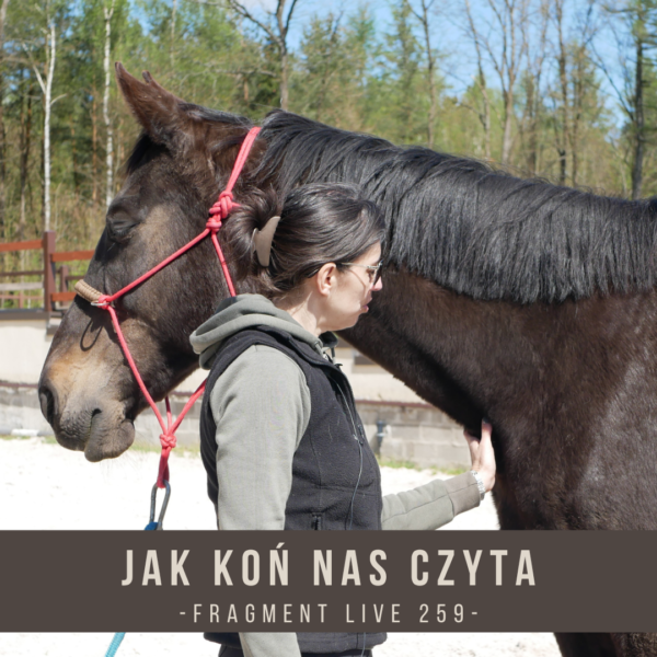 jak_kon_nas_czyta