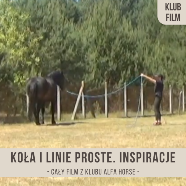 kola_i_linie_proste_inspiracje