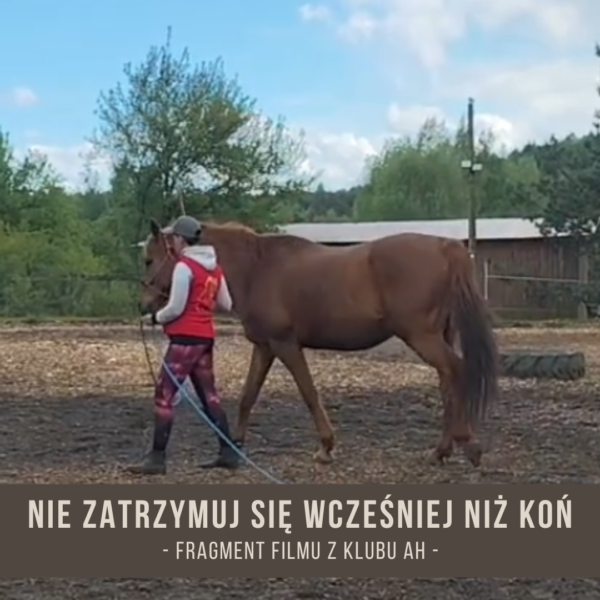 nie_zatrzymuj_sie_wczesniej_niz_kon