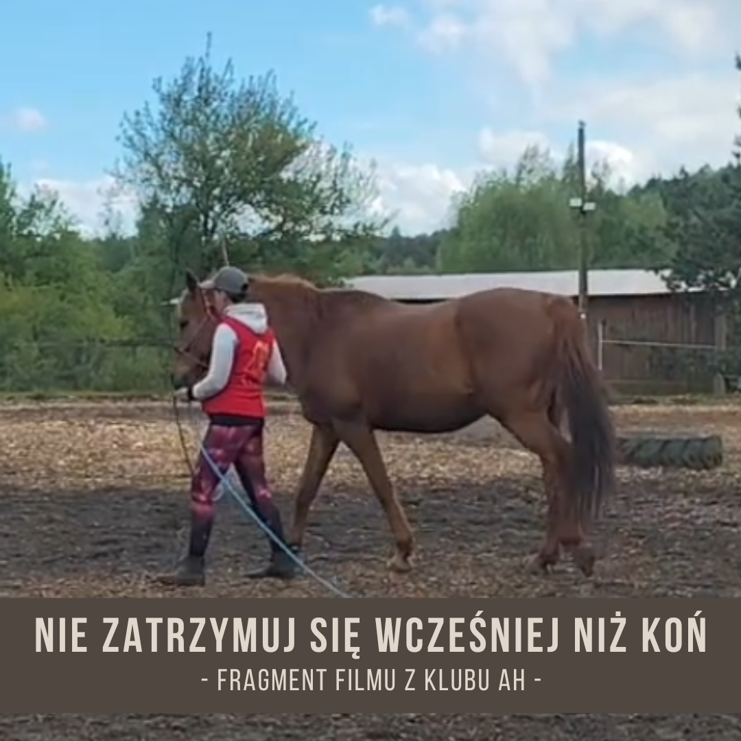 nie_zatrzymuj_sie_wczesniej_niz_kon
