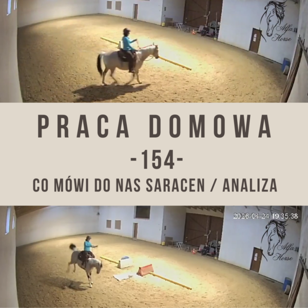 praca domowa 154 co mówi do nas saracen