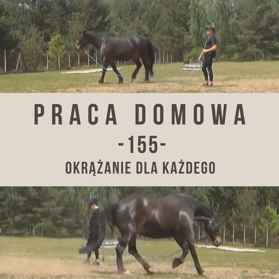 praca_domowa_155_okrazanie_dla_kazdego