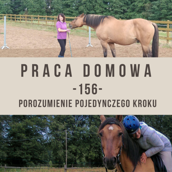 praca_domowa_156_porozumienie_pojedynczego_kroku