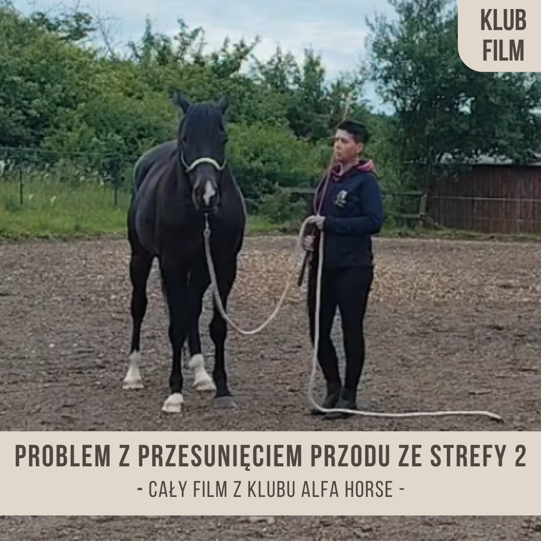 problem_z_przesunieciem_przodu_ze_strefy_drugiej