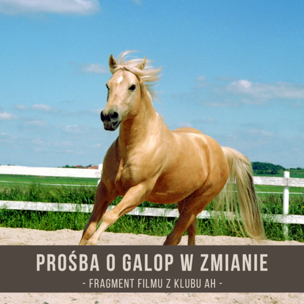 prosba_o_galop_w_zmianie