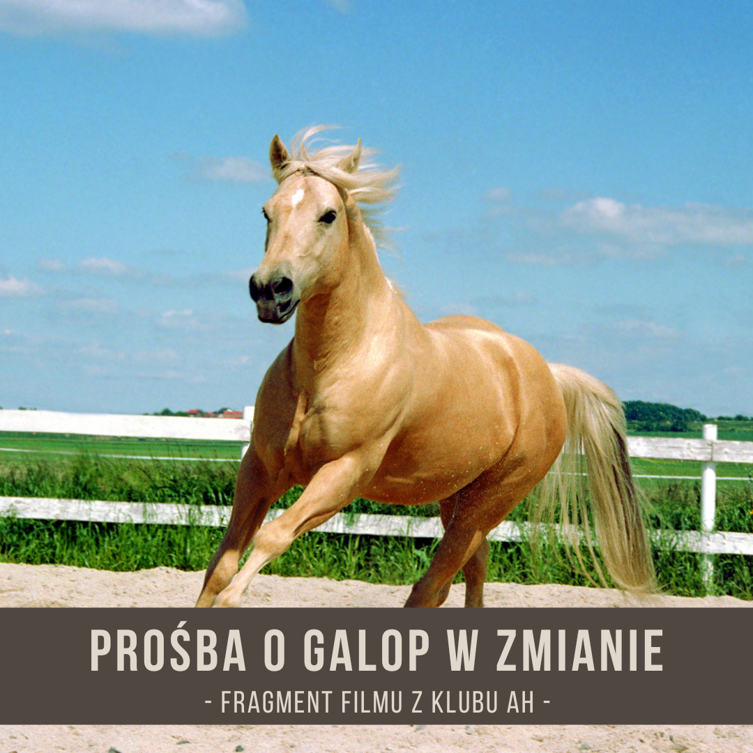 prosba_o_galop_w_zmianie