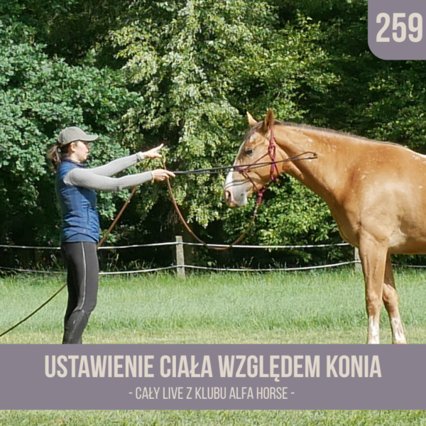 ustawienie_ciala_wzgledem_konia