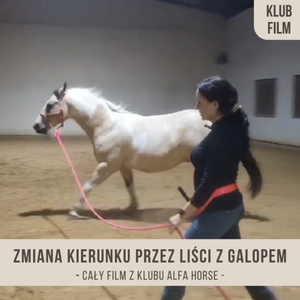 zmiana_kierunku_przez_liscia_z_galopem